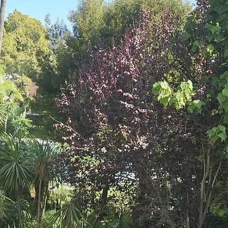 Bonito Piso Con Jardines Y Piscina 公寓 *