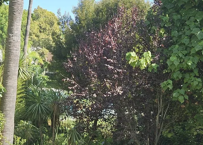 Bonito Piso Con Jardines Y Piscina Apartamento *