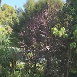 Bonito Piso Con Jardines Y Piscina